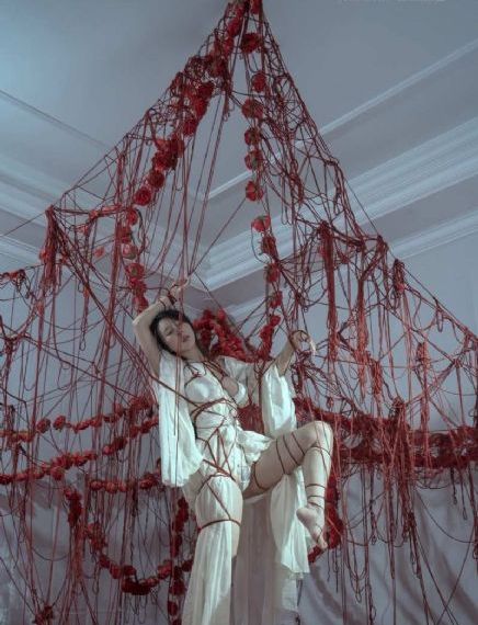 非洲：塞伦盖蒂国家公园-首映蓝光版中文字幕包