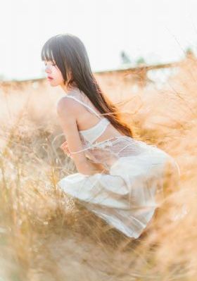 漩涡第二季-正片手机免费观看完整