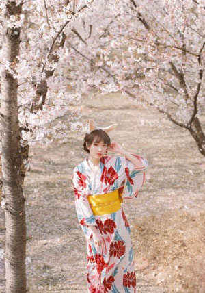 塬上春来早-杜比音效电影免费在线