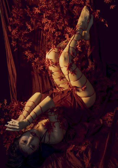 爱笑种梦室之龙在江湖-百度迅雷手机免费观看