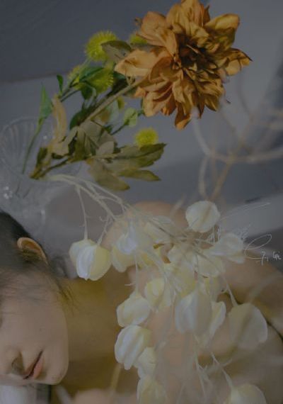 最终兵器：弓-超清在线视频观看