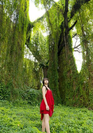 星球大战：幻境第一季-西瓜完整在线观看