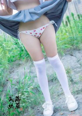 蛇猫鹤混型掌-我不卡电影全集观看