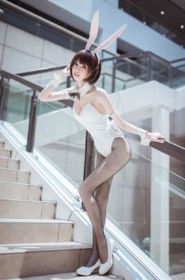 反恐特警组第5季-最新版在线影院观看