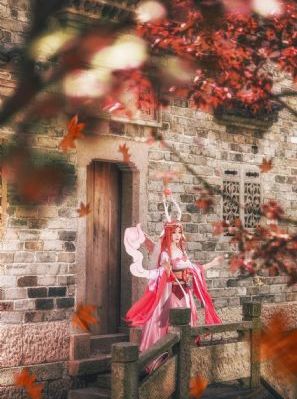 龙战-中文字幕国语版全集