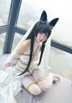 如何阻止强盗-啦啦高清国语配音超清