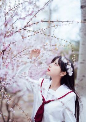 举头三尺三-免费正片在线观看